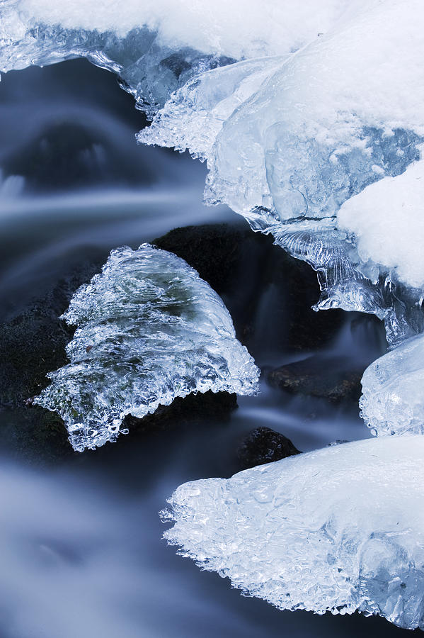 Ice Patches In Stream, Bavarian Forest Photograph by Heike Odermatt