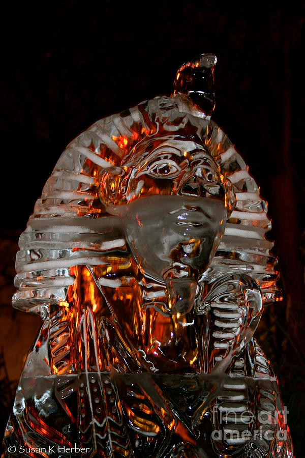 Ice Sculpture Photograph by Susan Herber