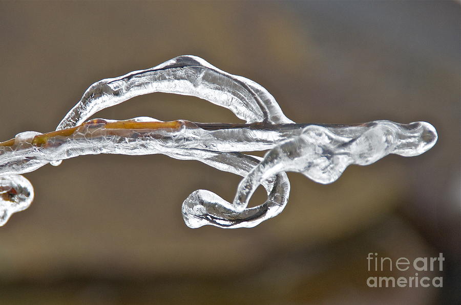 Ice Storm Abstract Photograph by Sean Griffin
