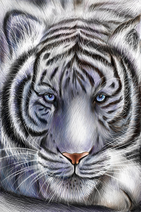 Tiger Digital Art - Ice Tiger by Hayley Knowles