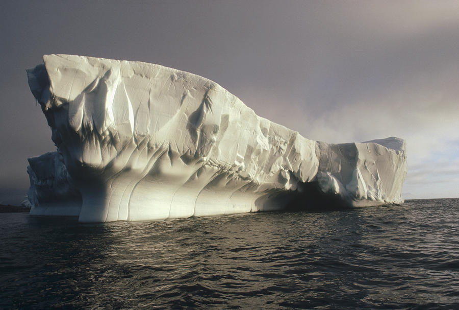 Iceberg Antarctica Photograph by Flip Nicklin