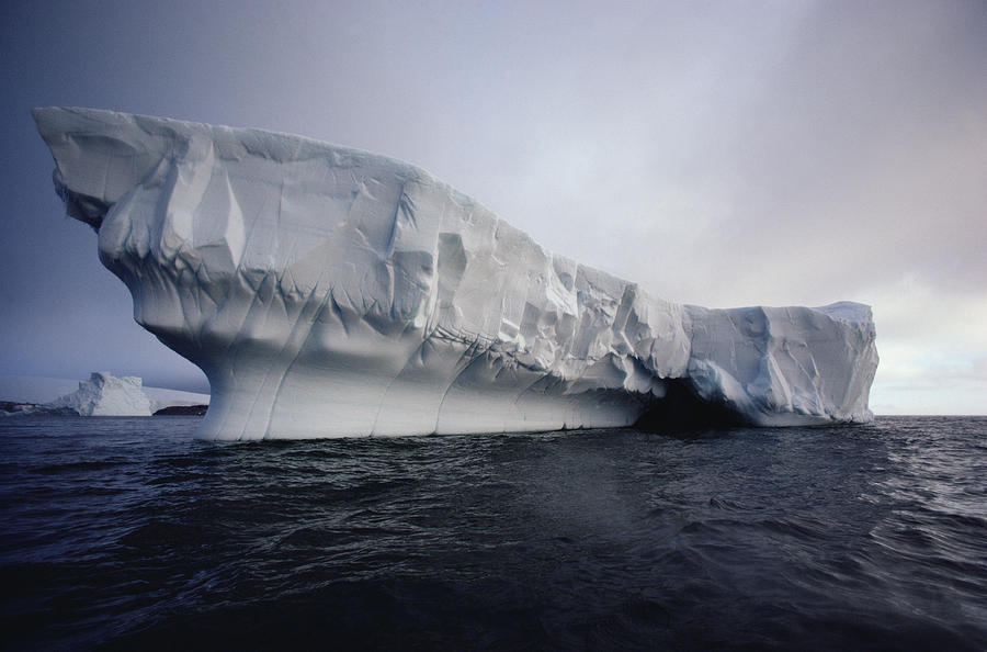 Iceberg Palmer Peninsula Antarctica Photograph by Flip Nicklin - Pixels