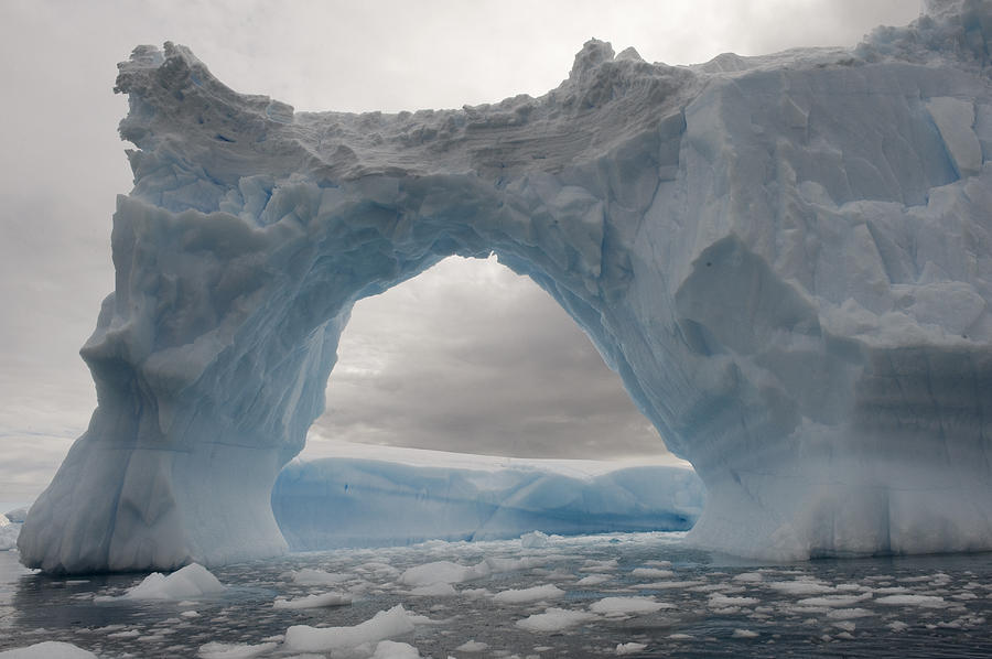 Iceberg With A Natural Arch, Antarctic Photograph by Flip  Nicklin