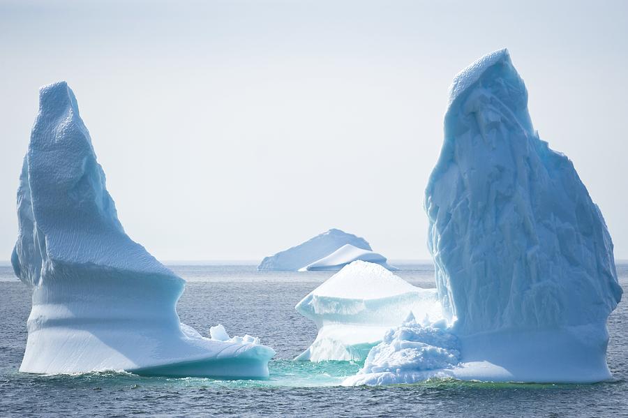 Icebergs, Canada Photograph by David Nunuk - Fine Art America