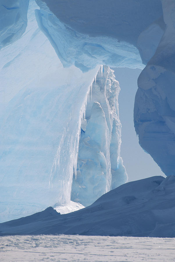 Icebergs Caught In Frozen Ice Shelf Photograph by Konrad Wothe