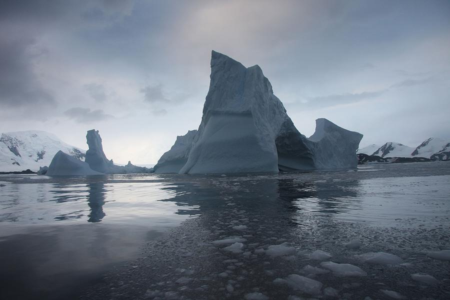 Icebergs Float Near Antarctica Photograph by Everett - Fine Art America