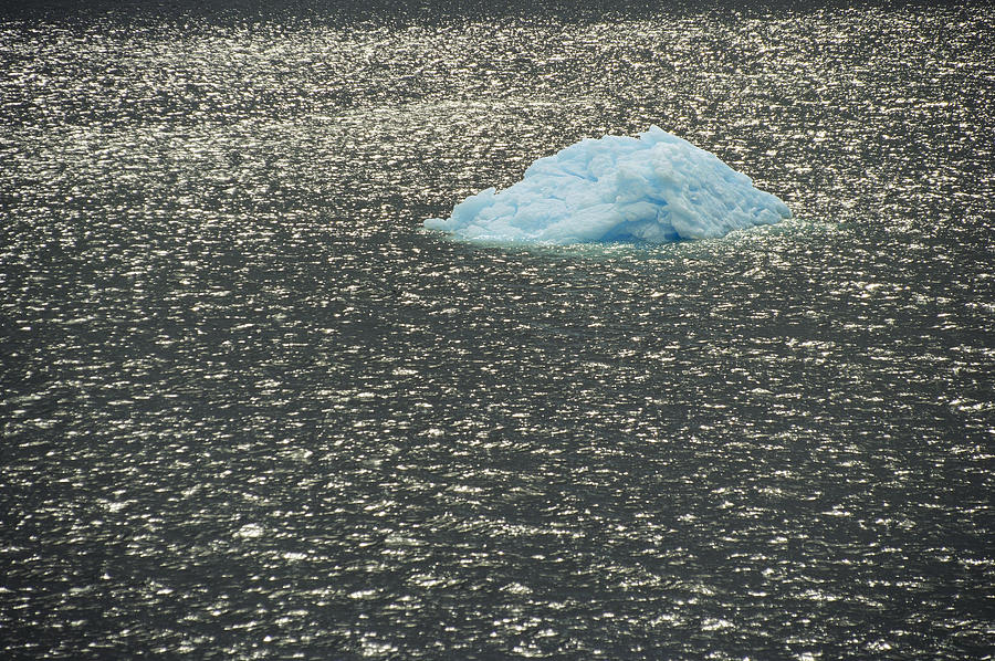 Icebergs In Bransfield Strait Photograph by Gerry Ellis