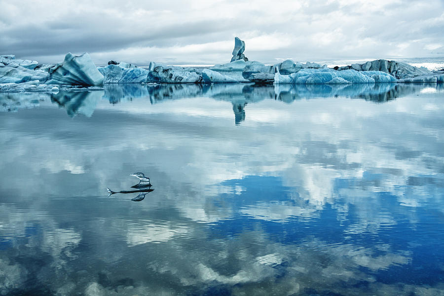 Icebergs in Jokulsarlon II Photograph by Levin Rodriguez