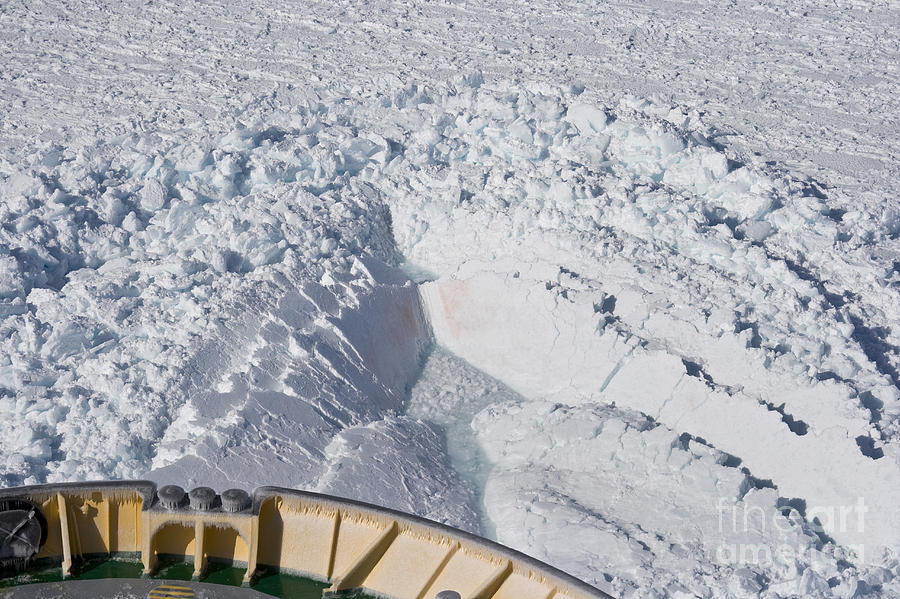 Icebreaker Ship In Weddell Sea Photograph by Mary Beth Dimijian