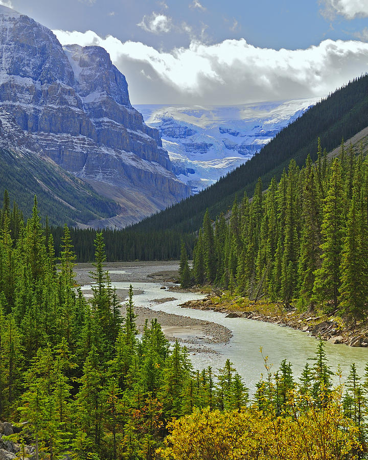 Icefields Parkway Photograph by Tony Beck