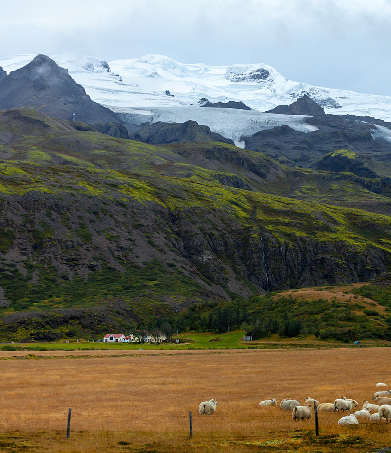 Icelandic farmland landscape Photograph by Levin Rodriguez