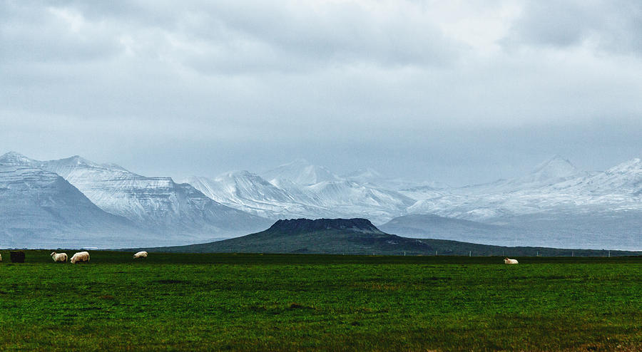 Icelandic Farmland Photograph by Levin Rodriguez