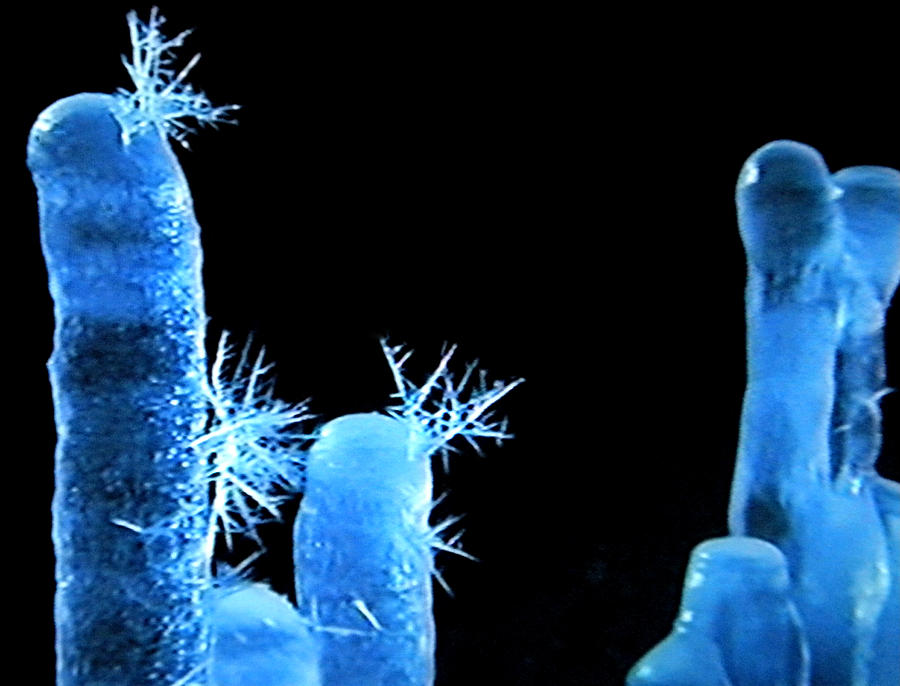 Iceparticles Photograph by Colette V Hera Guggenheim