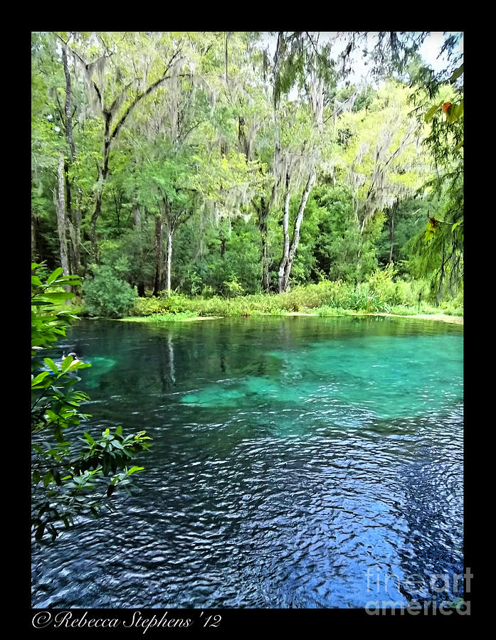 Ichetucknee Blue Hole Spring Photograph by Rebecca Stephens - Fine Art ...