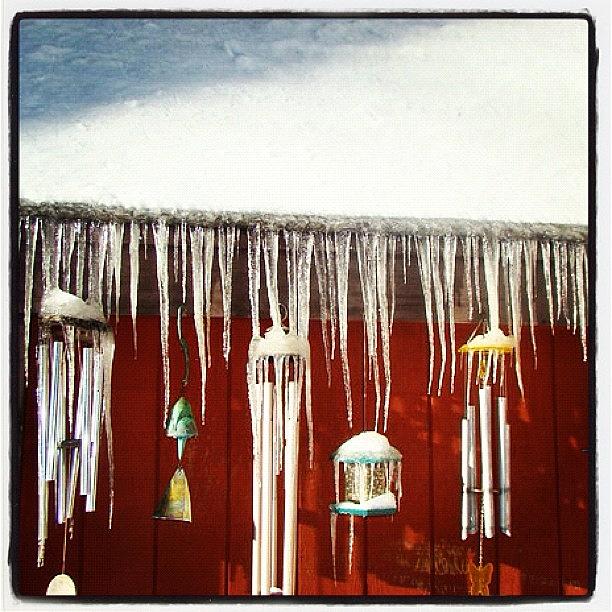 Icicle Wind Chimes And Bird Feeders Photograph by Marguerite Spieker