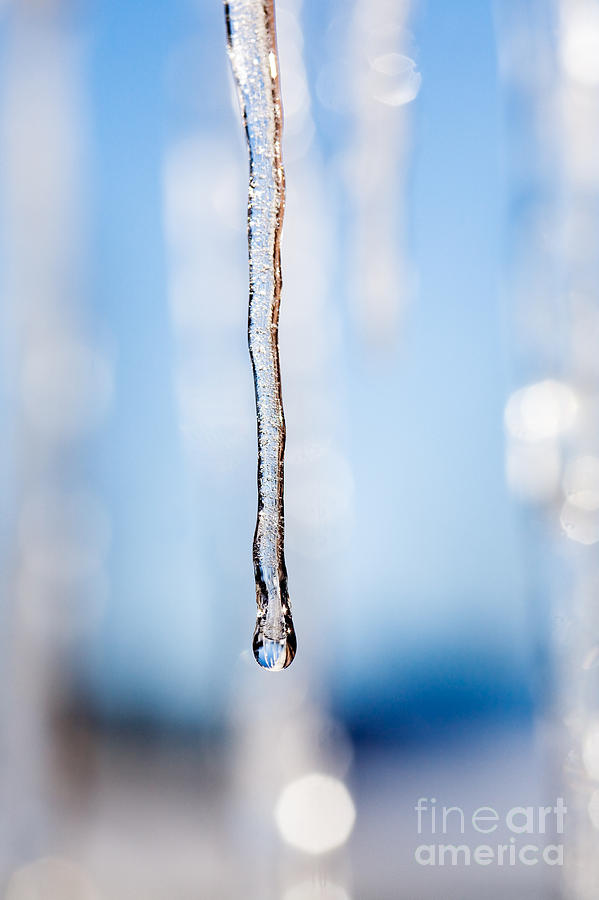 Icicles Photograph by Kati Finell