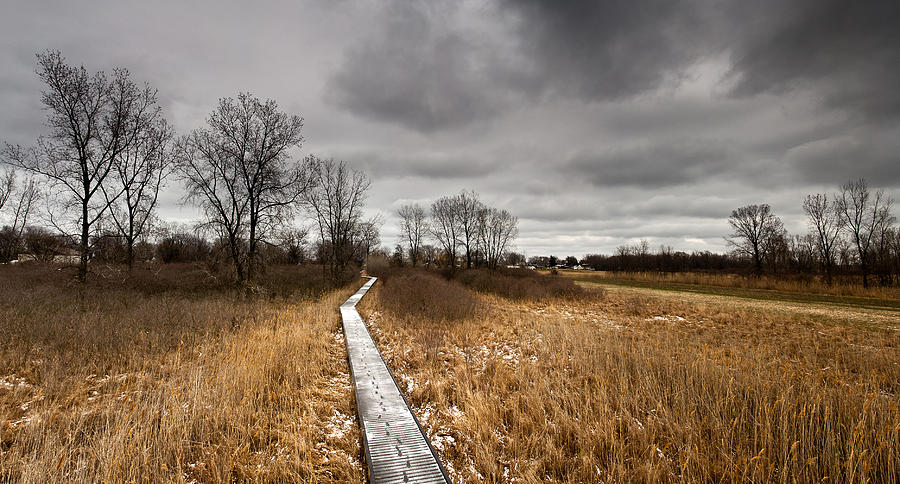 Winter Photograph - Icy Boardwalk by Cale Best