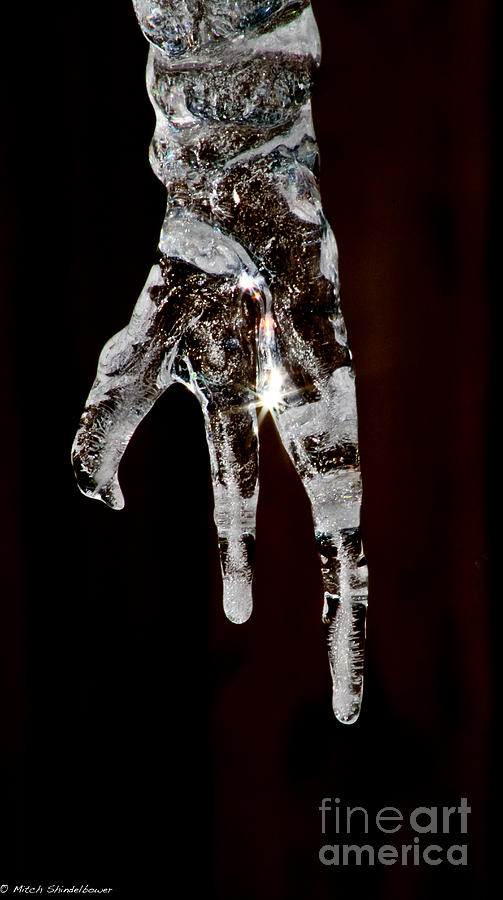 Icy Claw Photograph