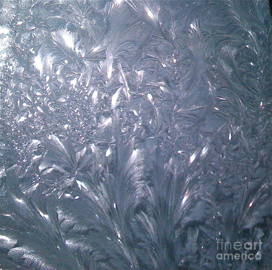 Icy Shimmer Photograph by Barbara Plattenburg