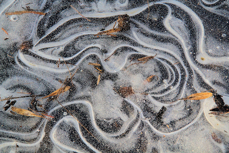 Icy swirls Photograph by Doris Potter