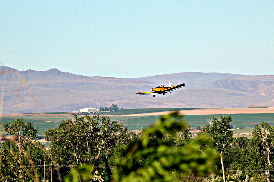 Idaho Crop Duster Photograph by Jo Sheehan