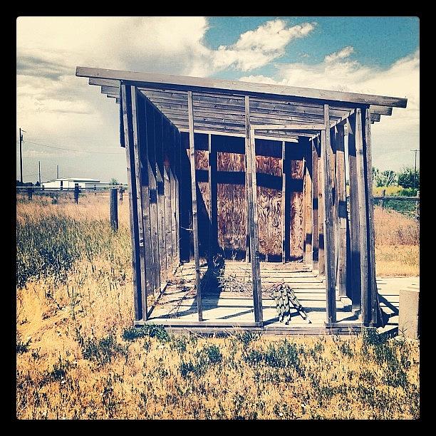 Summer Photograph - #idaho #old #rustic #wood #shed #grass by Cassidy Taylor