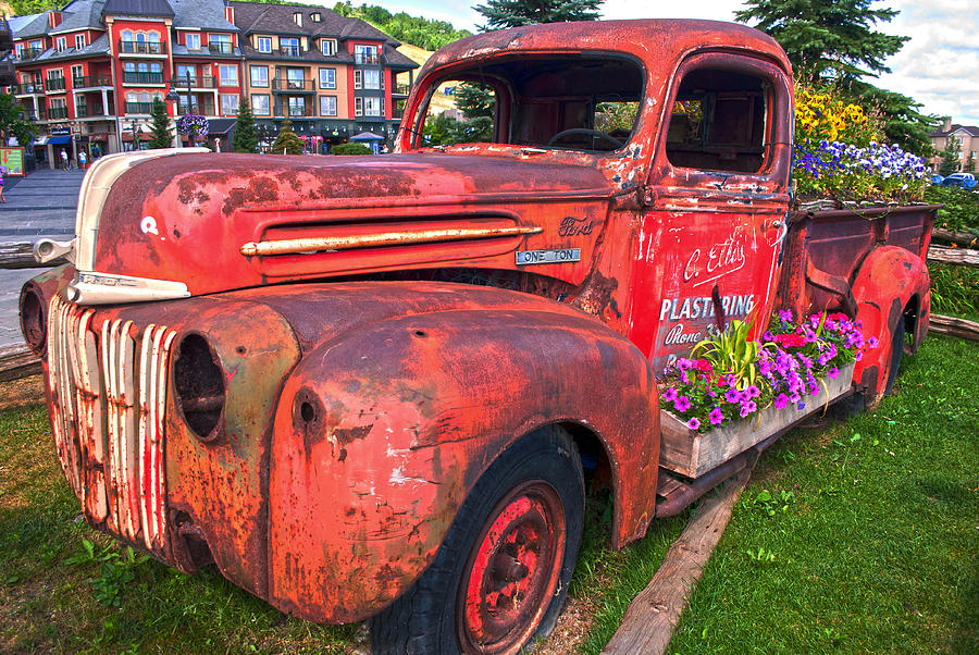 If You Cant Drive it Anymore   Turn it into a Planter Photograph by Robin Webster
