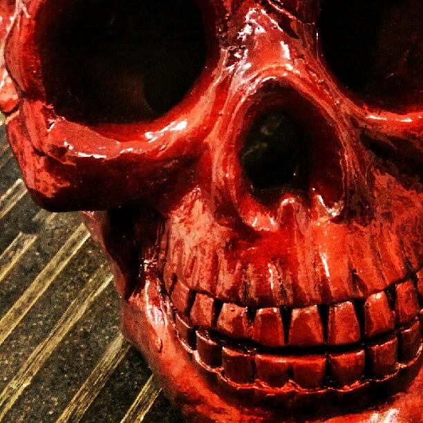 Skull Photograph - Ig-altered Detail Image Of A Skull I by Troy Thomas