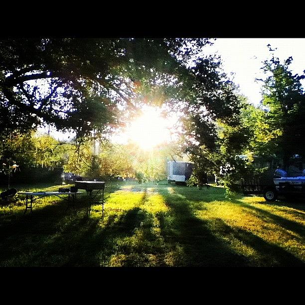 Beautiful Photograph - Ignore The Junk In My Yard, The Sun Was by Leslie Drawdy ☀