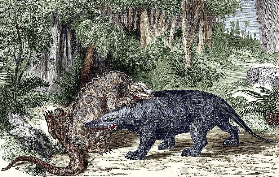 Prehistoric Photograph - Iguanodon And Megalosaurus Dinosaurs by Sheila Terry