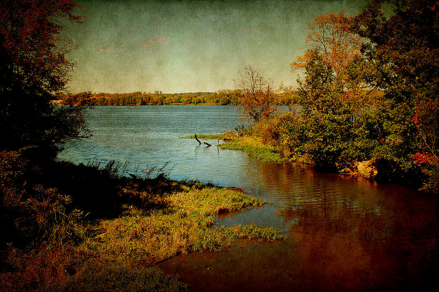 Illinois River Photograph by Milena Ilieva