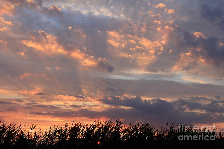 Lindenhurst Photograph - Illumination by Scenesational Photos Lindenhurst Photograph - Illumination by Scenesational Photos