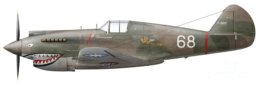 Illustration Of A Curtiss P40-c Warhawk Digital Art by Chris Sandham-Bailey