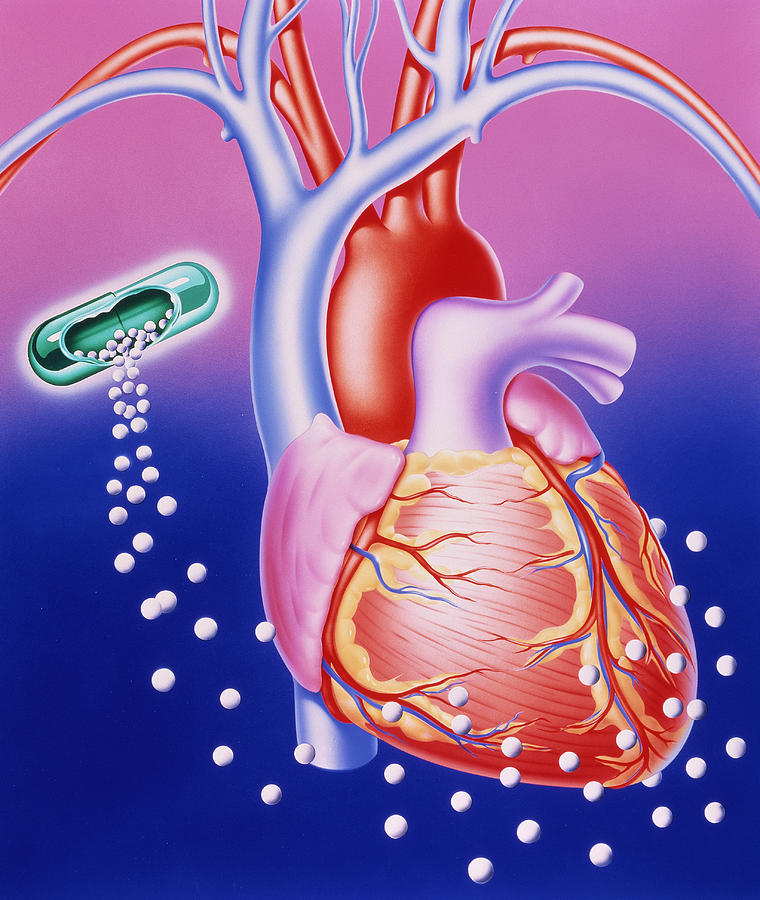 Illustration Of A Drug Dissolving Around The Heart Photograph By John Bavosi Fine Art America 3295