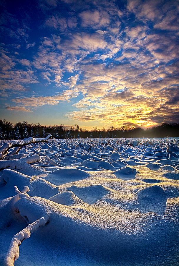 Landscape Photograph - Im Holding On by Phil Koch