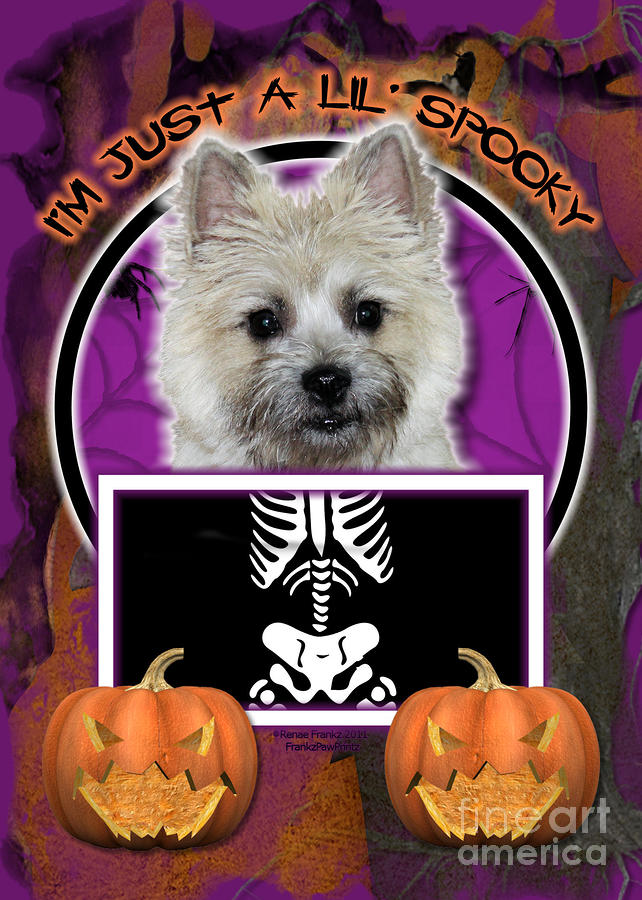 Halloween Digital Art - Im Just a Lil Spooky Cairn Terrier by Renae Crevalle