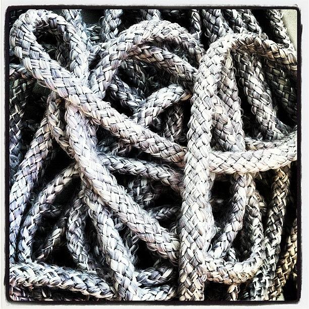 Sailing Photograph - Im Sailing. Guess What Rope I m by Leighton OConnor