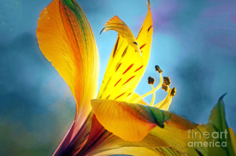 Lily Painting - Im Walking On Sunshine... by Tanya Tanski