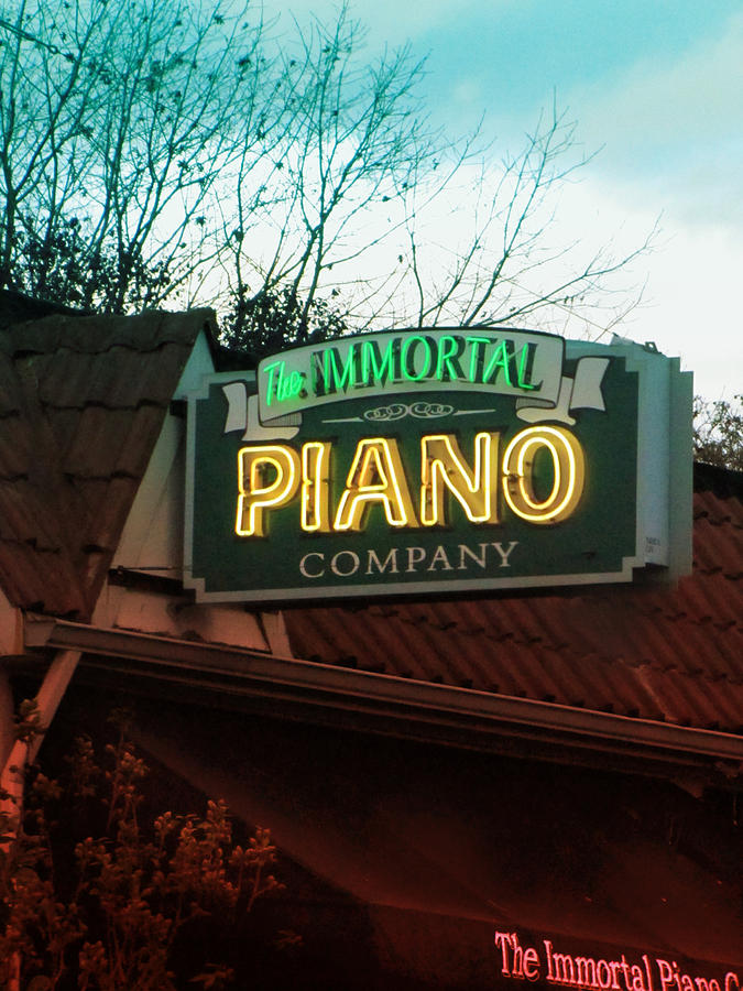Immortal Piano Co Photograph by Kathleen Grace