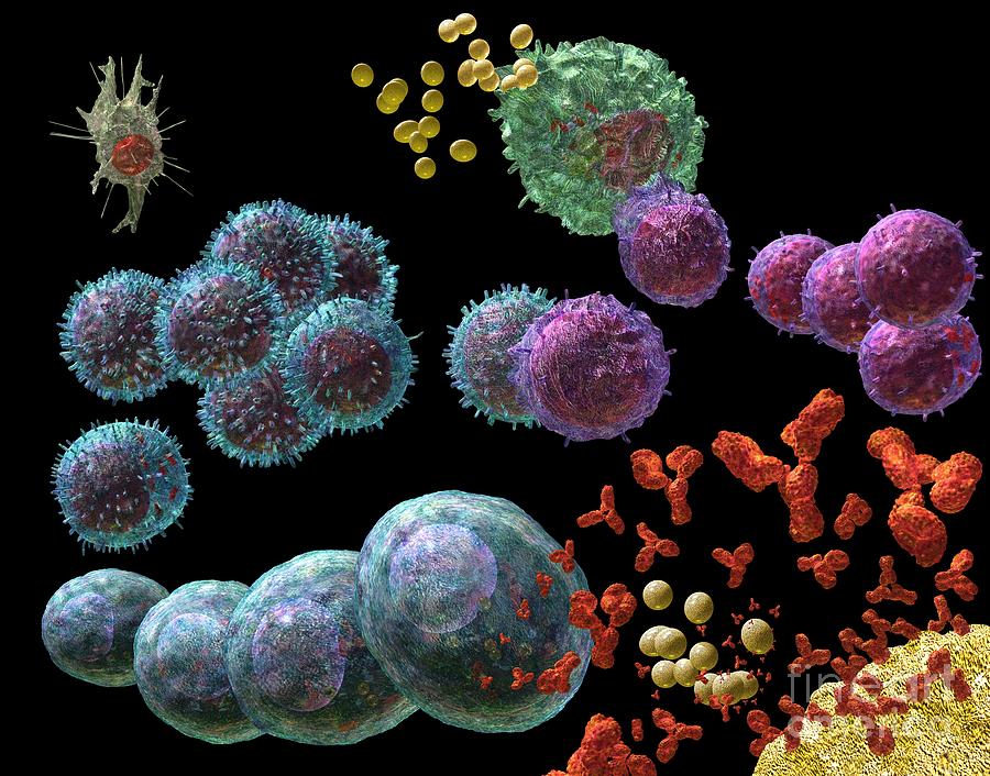 Immune Response Antibody 2 Digital Art by Russell Kightley