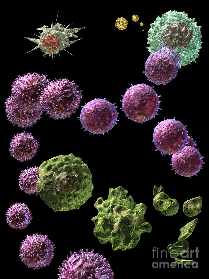Immune Response Cytotoxic 2 Digital Art by Russell Kightley