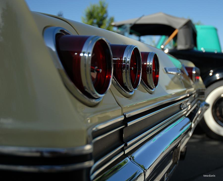 Impala  Photograph by Thomas Medaris