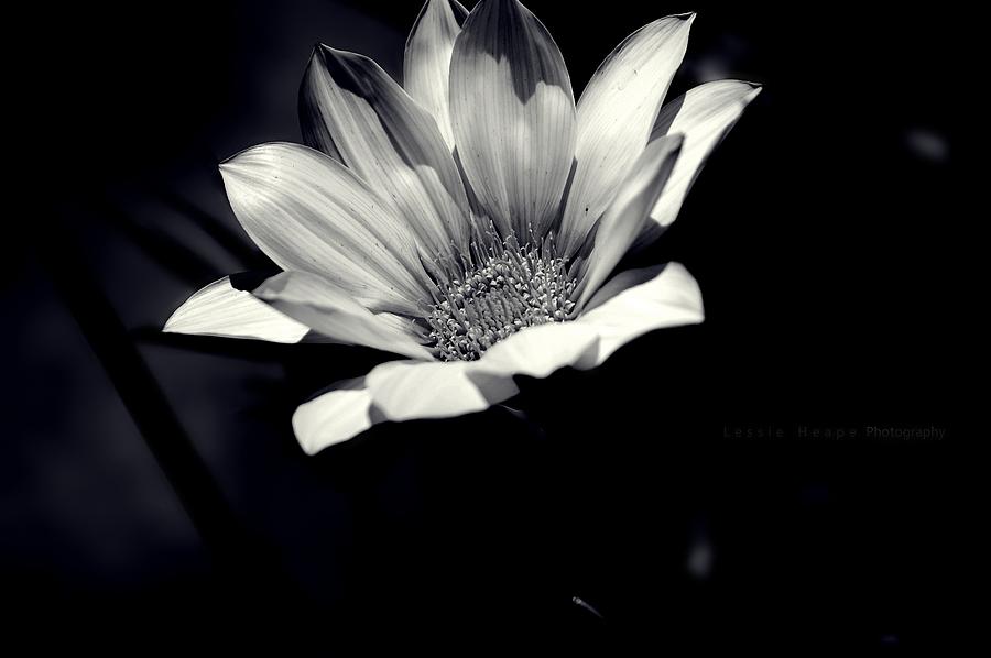 Black And White Photograph - Imperfections by Lessie Heape