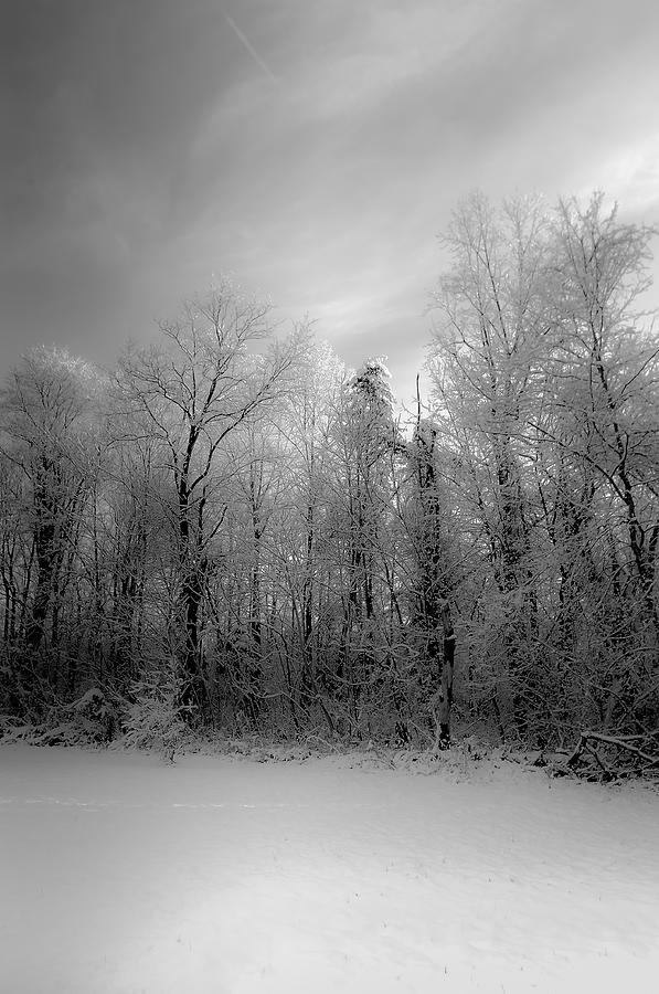 Impressionist Snow Photograph by Lori Coleman