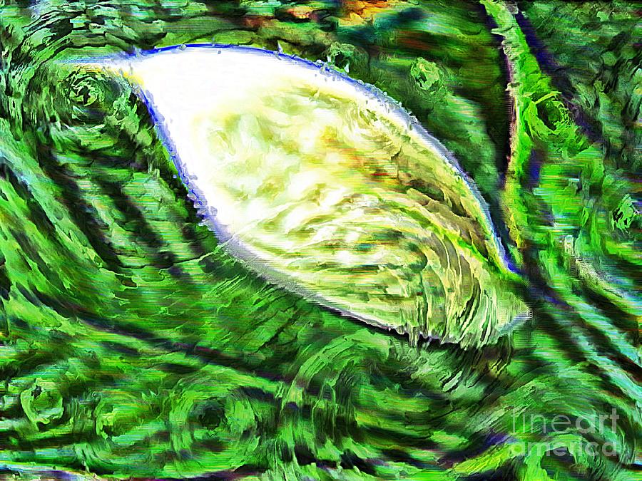 Impressionistic  Peace Lily Digital Art by Barbara A Griffin
