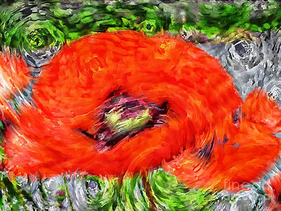Impressionistic  Poppy Digital Art by Barbara A Griffin