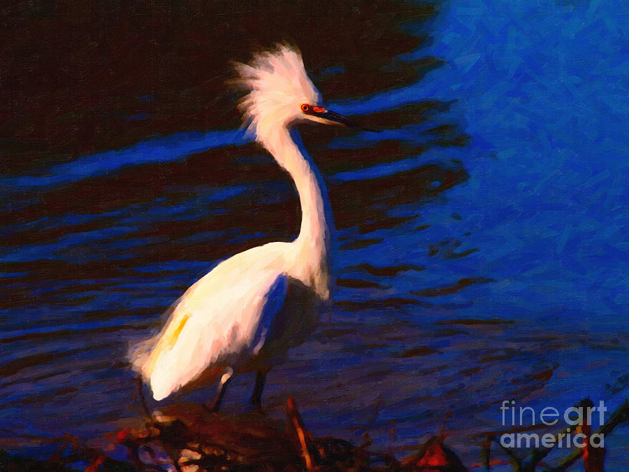 Impressionism Photograph - Impressions of a Snowy Egret . Painterly by Wingsdomain Art and Photography