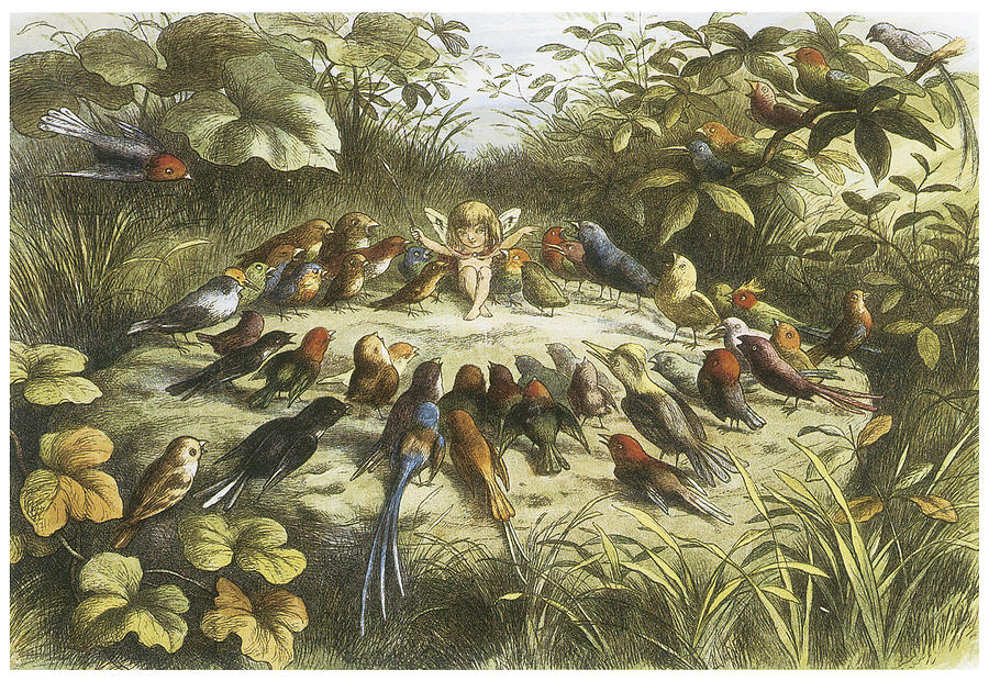 In Fairyland Rehearsal In Fairyland Painting By Richard Doyle Fine