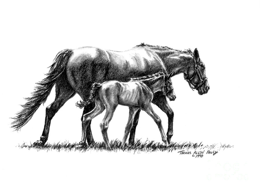 Derby Painting - In Harmony by Thomas Allen Pauly Derby Painting - In Harmony by Thomas Allen Pauly