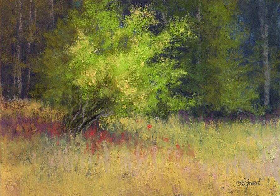 Impressionism Painting - In the Arms of Sunshine by Paula Ann Ford